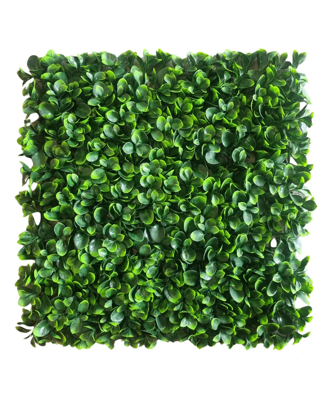 JARDIN ARTIFICIAL EXTERIOR PRADERA - JARDINES ARTIFICIALES - JARDINES EXTERIOR | Building Innovation