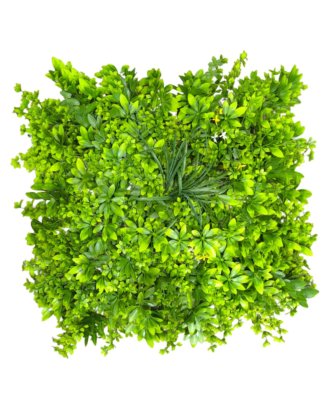 JARDIN ARTIFICIAL EXTERIOR EDEN - JARDINES ARTIFICIALES - JARDINES EXTERIOR | Building Innovation