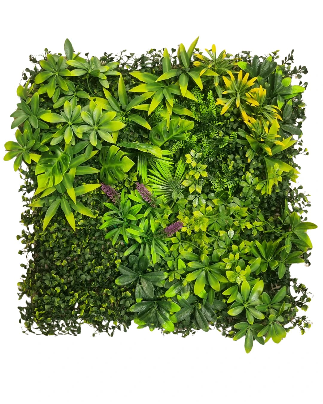 JARDIN ARTIFICIAL EXTERIOR PARAISO - JARDINES ARTIFICIALES - JARDINES EXTERIOR | Building Innovation