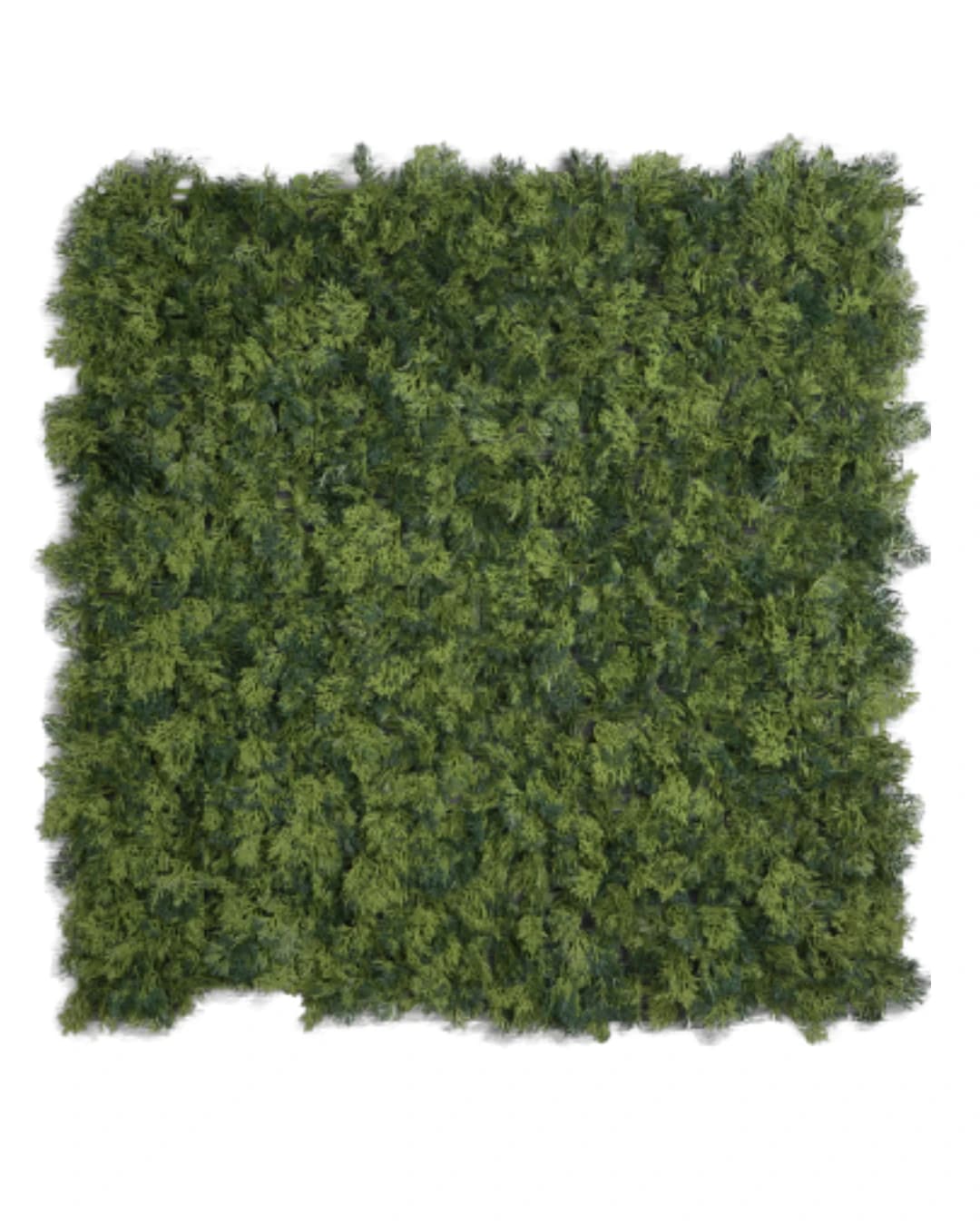 JARDIN ARTIFICIAL MOSSY PINO CIPRES - JARDINES ARTIFICIALES - JARDINES MOSS | Building Innovation