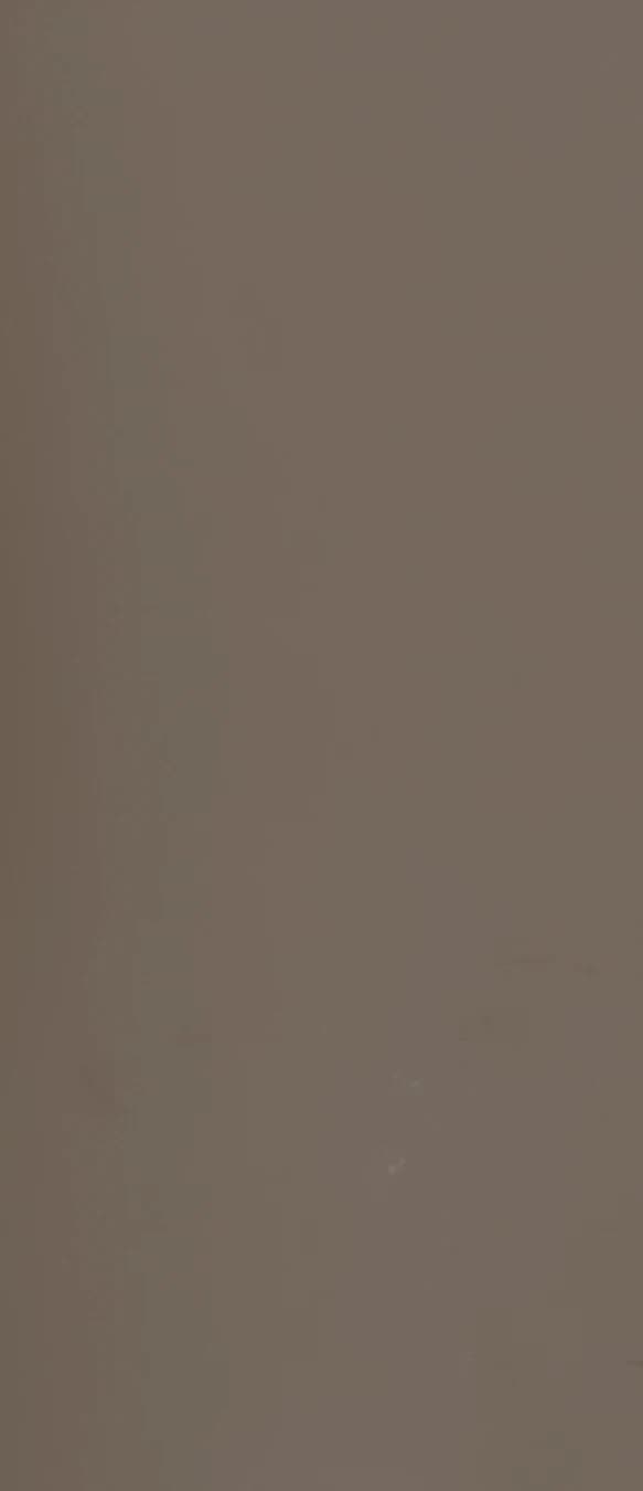 FOAM BOARD IVORY LATTE (MF-01) - LINEA PASTEL - LAMINAS - FOAM BOARD | Building Innovation
